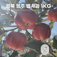 이브팜 산지직송 고당도 선물용 고급 영주 별사과 미니사과 mini apple, 9개입, 1kg