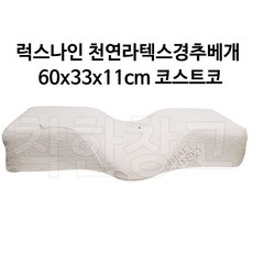 럭스나인에르고