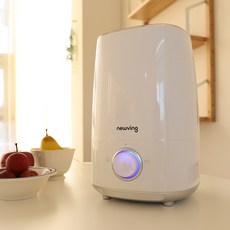 뉴빙가습기