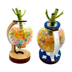 생명과학콩나물키우기