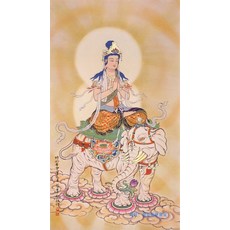 전시관영상액자