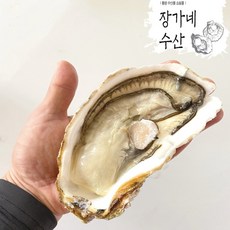 석굴암사진집