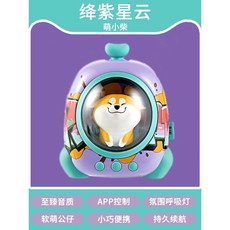기가폰대여