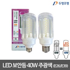 두영 LED 투명 보안등 40W 주광색 LED보안등, 1개, 소켓사이즈:E39