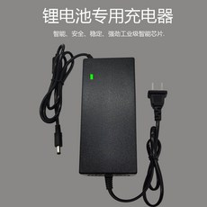 은성전자80a밧데리충전기