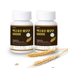 고함량 독일 맥주효모 비오틴 프랑스 콜라겐 엘라스틴 L 시스틴 아르기닌 아미노산 사은품 증정, 120정, 2개
