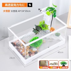 레이저백거북이