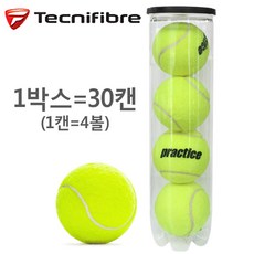 테크니화이버 테니스볼 프랙티스 연습구 1BOX=30캔, 상세확인