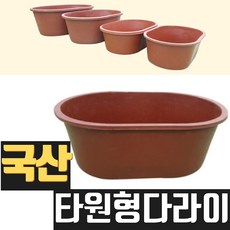 대천해수욕장공연