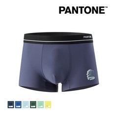 pantone드로즈