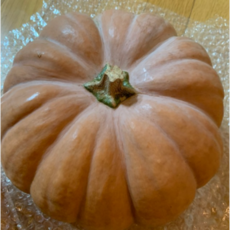 [추천] 국내산 늙은호박 맷돌호박 TSF1016 신선한 맛좋은, 1개, 3~4kg