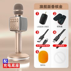 인싸 블루투스 마이크 노래방 코노 코인 동전 혼코노 가정용 집돌이 집순이 집콕 인스타 노래 힙합 랩 가창 아이돌 스피커 음악 오디오 에코, O + 공식 규격.