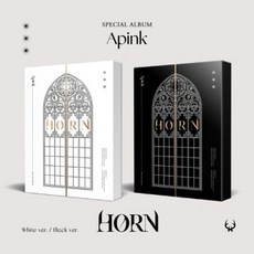 에이핑크 Special Album HORN APINK 혼 버전선택, 랜덤버전(두장 중복), 포스터없음