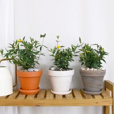11a29e39d58d2c2d15fd17c78ab65cb6fe3e115f239706cbb9bff9ca9eda.jpg