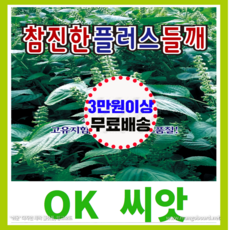 [OK씨앗] [참진한플러스들깨] 들깨씨앗 종자(오케이씨앗), 400g