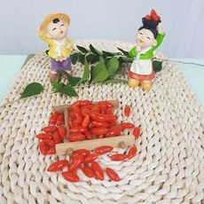 칠갑산구기자주