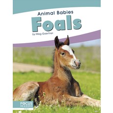 Foals Library Binding, Focus Readers, English, 9781641857475