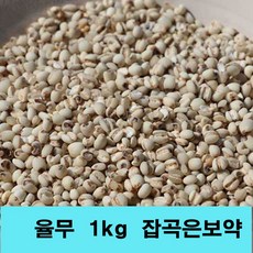 잡곡은보약 율무 국산 2022년산 율무쌀 국내산 햇율무 2kg 1kg선택, 1포, 1kg
