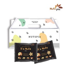 [넛츠피아] 잇츠넛 20봉 선물세트 매일 하루 한줌견과, 단일상품, 단일상품