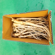 약도라지 도라지 세척도라지 깐도라지, 1개, 흙나물용도라지 1kg