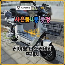 2023년형 레이윙 디스커버리 프레시 전동스쿠터 S10 48V 700W 28Ah, 디스커버리 프레쉬 화이트, 디스커버리 프레쉬 16Ah