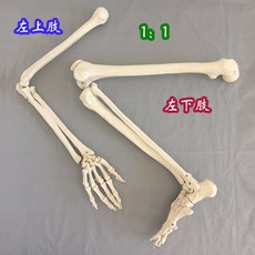 대인의과학