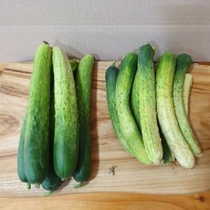 백오이산지