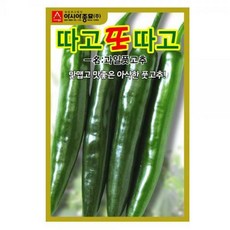 미인풋고추모종