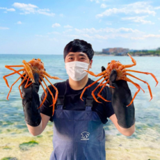 당일조업 홍게 구룡포 연지홍게 붉은대게 자숙 2kg 3kg, 2kg 6-8미, 육수라면용 수율40%이상, 1개