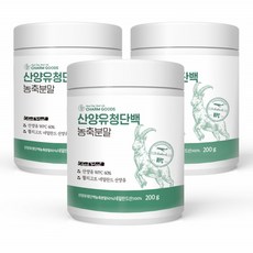 네덜란드분유