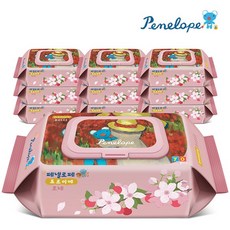페넬로페물티슈20팩