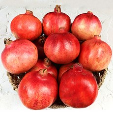 수입 과일 석류생과일 석류생과, 1박스, 5kg