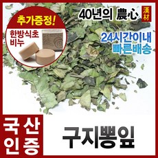자애인 국산 꾸지뽕 잎 1200g 구찌뽕 꾸찌뽕 경북영천, 1개