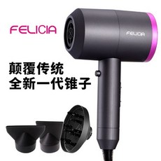 차이슨 FELICIA 하이 엔드 음이온 헤어 드라이기, 110V