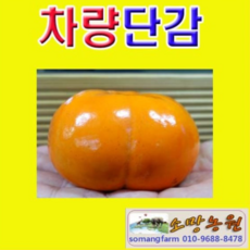 1ea70bc9941cd70854a85630d42c78a0d2e7a93597ddc2db4f2476a47c84.png