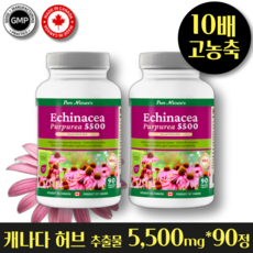 헬시마트 정품 10배 고 농축 5500mg 캐나다 허브 추출물 최고함량 호흡기 기침 감기 면역 예방 약초, 2개, 90정 - 자몽씨추출물