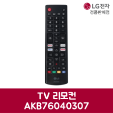 LG전자 엘지 정품 TV 리모컨 AKB76040307, 기본선택, 1개