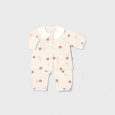 메르베플럼플럼