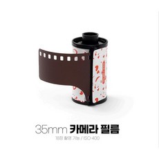 필름카메라 필름 800