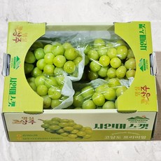 [산지에서바로] 고당도 샤인머스켓 망고포도 프리미엄 선물세트, 1박스, 4kg 특상 (4~5수)