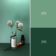 그라데이션배경지
