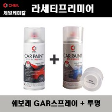 쉐보레 라세티프리미어 GAR 카본플레쉬 스프레이 + 투명스프레이 자동차 도색 차량용 카페인트