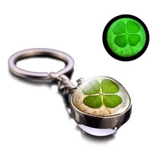 네잎클로버식용