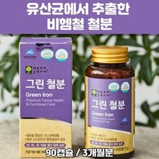 임산부철분제변비