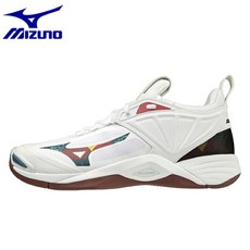 미즈노웨이브모멘텀2