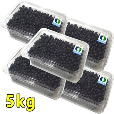 3d91204e18c92817bee4d6351677b9e1e00a4a4ddd825a42a723ff4c8dd5.jpg