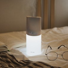 라이프썸 무드등 미니 가습기(LFS-HA08) 화이트
