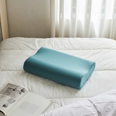 이마트컨투어베개