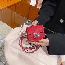 코치체인벨트백