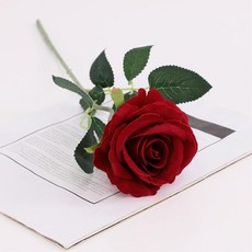 8277dd86ed67097715a83127ba98e06da1ca7ad761651231e6fd154b4755.jpg